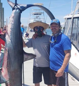 Fins Up for Thresher Shark Fun in Freeport, NY!